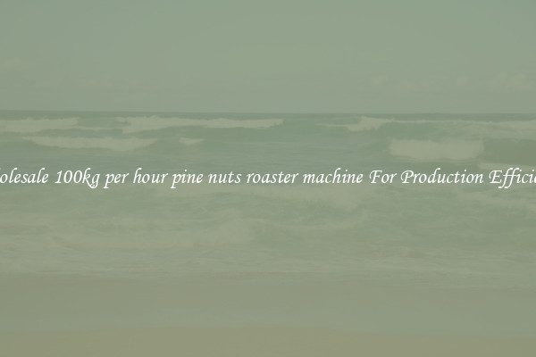 Wholesale 100kg per hour pine nuts roaster machine For Production Efficiency