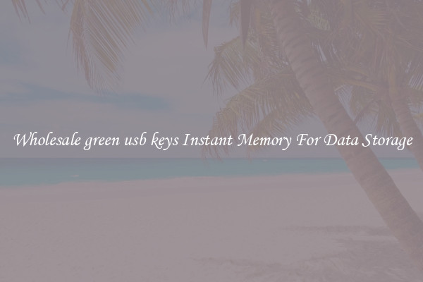 Wholesale green usb keys Instant Memory For Data Storage