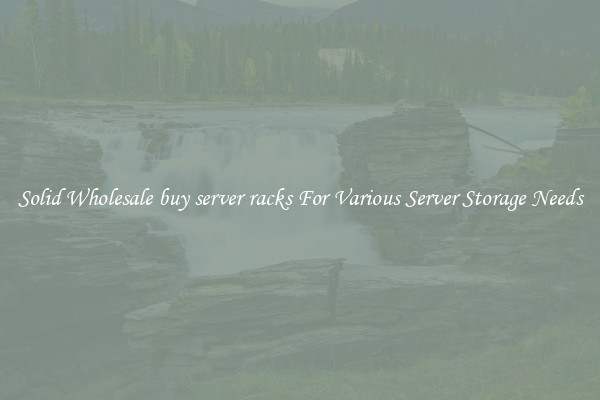 Solid Wholesale buy server racks For Various Server Storage Needs