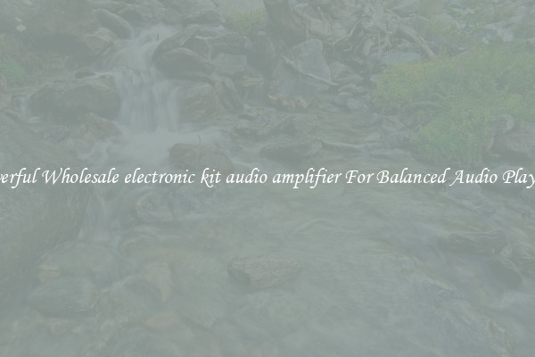 Powerful Wholesale electronic kit audio amplifier For Balanced Audio Playback