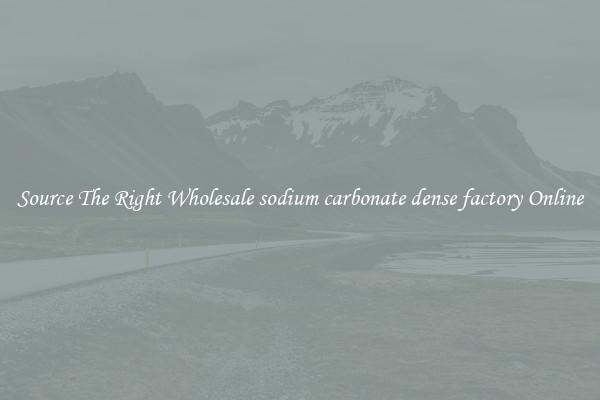 Source The Right Wholesale sodium carbonate dense factory Online