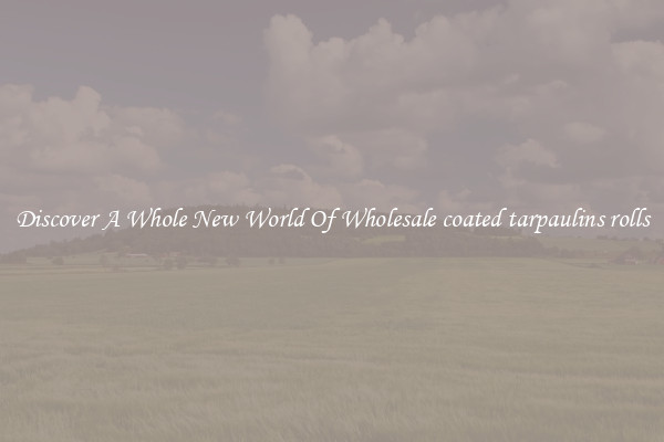 Discover A Whole New World Of Wholesale coated tarpaulins rolls