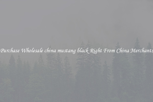 Purchase Wholesale china mustang black Right From China Merchants