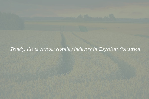Trendy, Clean custom clothing industry in Excellent Condition