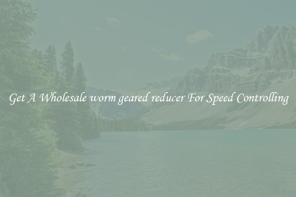 Get A Wholesale worm geared reducer For Speed Controlling