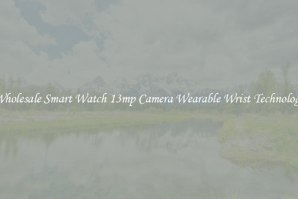Wholesale Smart Watch 13mp Camera Wearable Wrist Technology