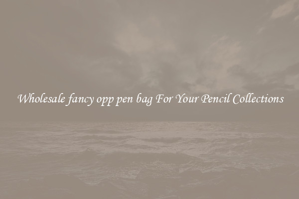 Wholesale fancy opp pen bag For Your Pencil Collections