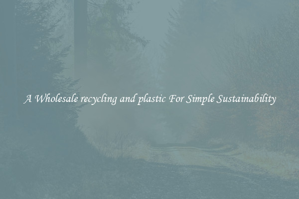  A Wholesale recycling and plastic For Simple Sustainability 