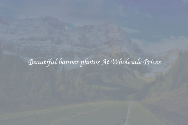 Beautiful banner photos At Wholesale Prices