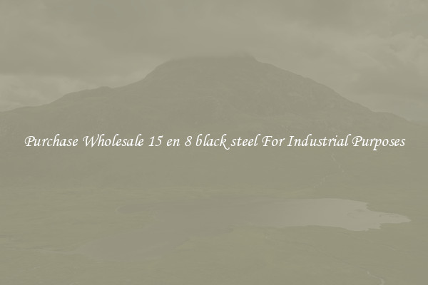 Purchase Wholesale 15 en 8 black steel For Industrial Purposes