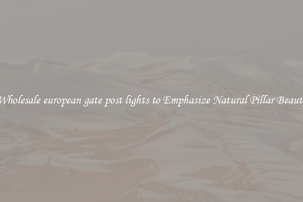 Wholesale european gate post lights to Emphasize Natural Pillar Beauty