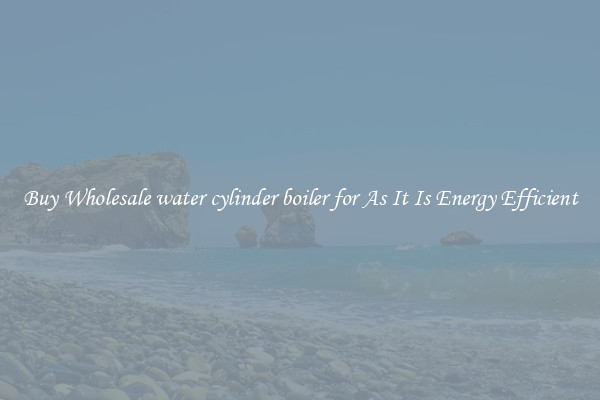 Buy Wholesale water cylinder boiler for As It Is Energy Efficient