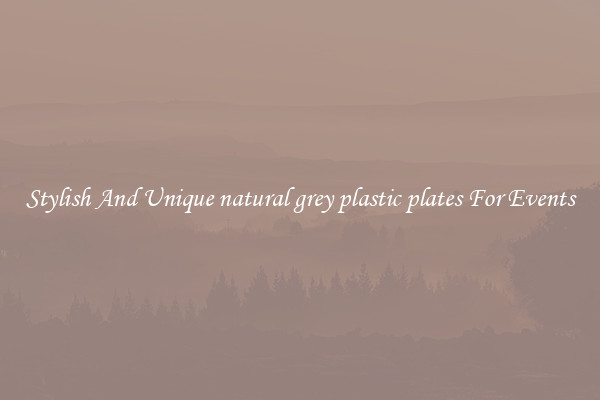 Stylish And Unique natural grey plastic plates For Events