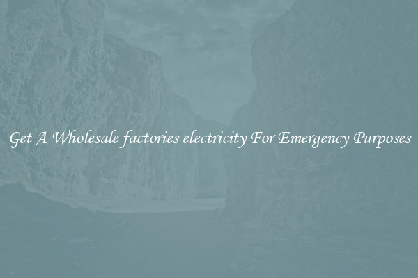 Get A Wholesale factories electricity For Emergency Purposes