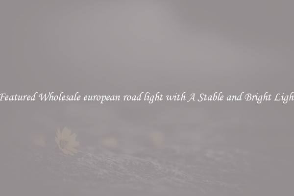 Featured Wholesale european road light with A Stable and Bright Light