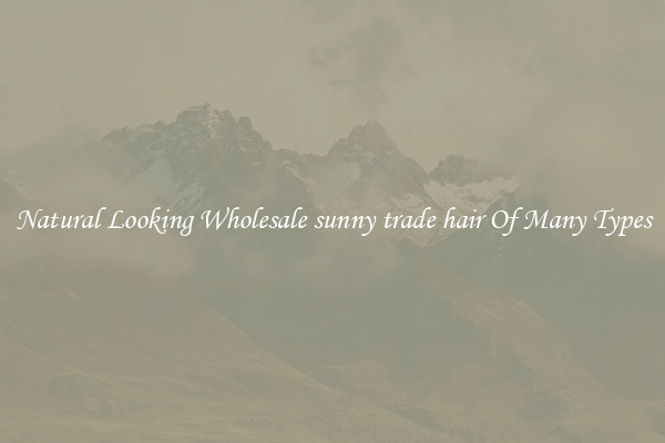 Natural Looking Wholesale sunny trade hair Of Many Types