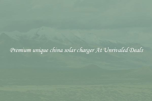 Premium unique china solar charger At Unrivaled Deals