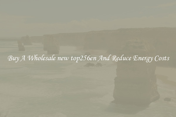 Buy A Wholesale new top256en And Reduce Energy Costs