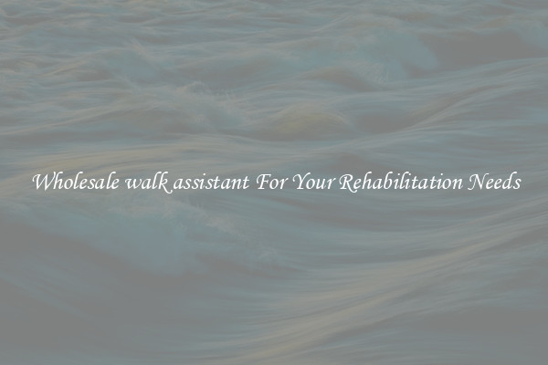 Wholesale walk assistant For Your Rehabilitation Needs