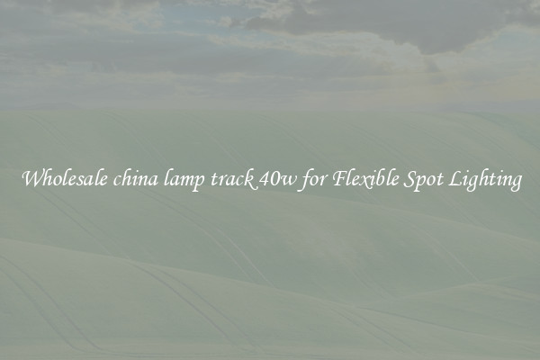 Wholesale china lamp track 40w for Flexible Spot Lighting