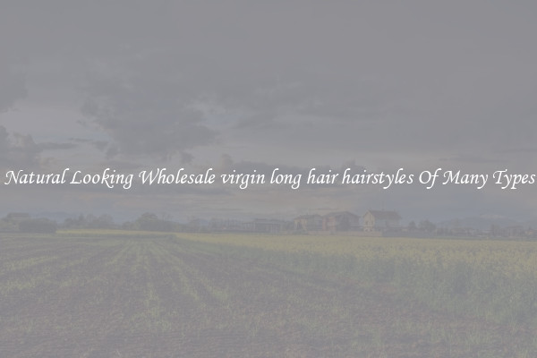 Natural Looking Wholesale virgin long hair hairstyles Of Many Types